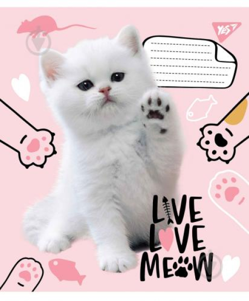 Зошит Yes! Live love meow А5лінія 12арк, шт